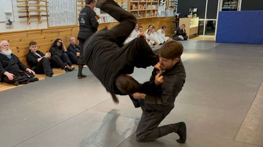 taijutsu