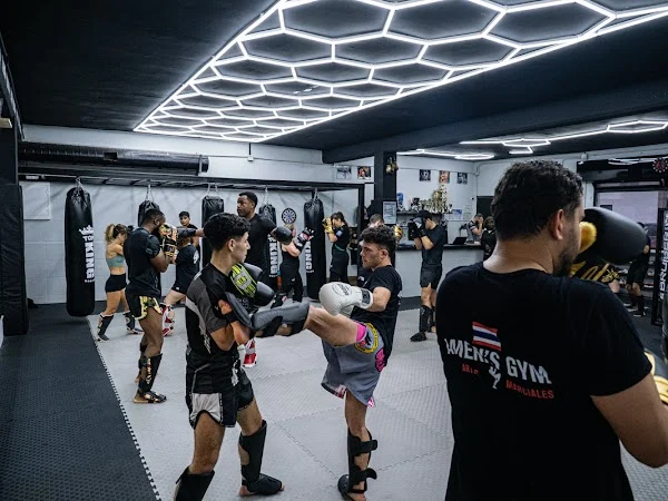 AMERI'S GYM ARTES MARCIALES