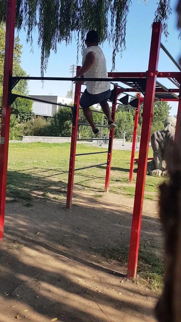 Calisthenics park