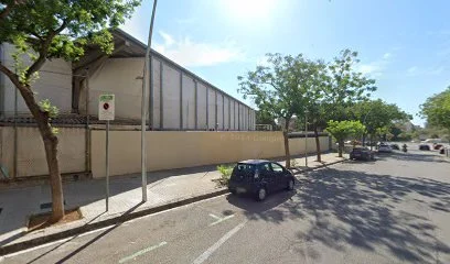 Campus D'estiu Olimpia