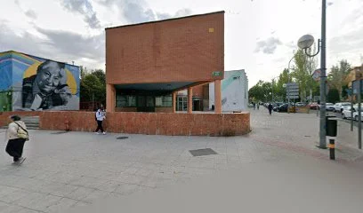 Club de Ajedrez San Fernando de Henares