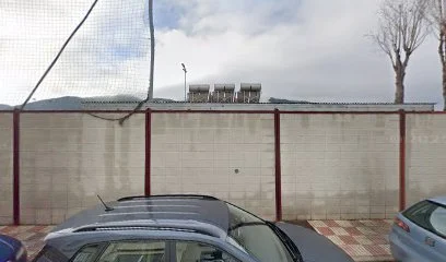 CLUB DE ATLETISMO LA VALLDIGNA