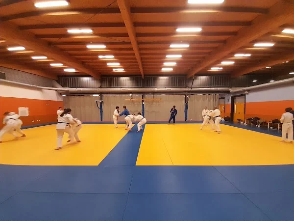 CLUB DE JUDO MAJADAHONDA