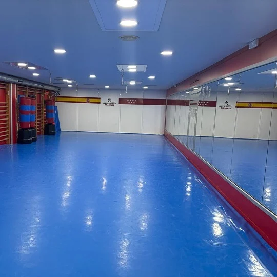 Club Karate Aranjuez