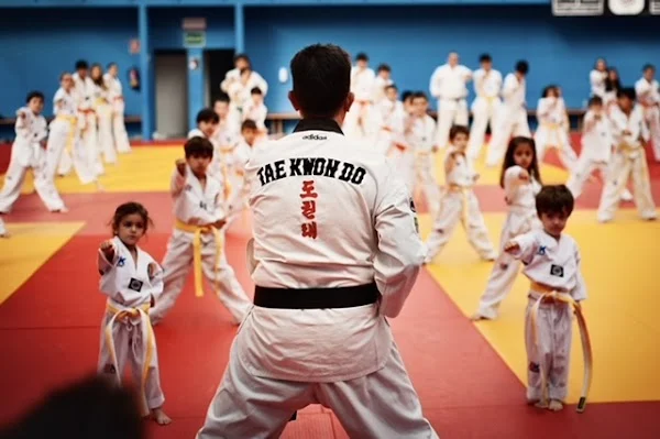 Club Taekwondo Villaviciosa de Odón