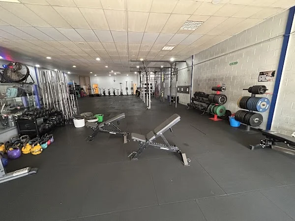 Cross MAE Fitness