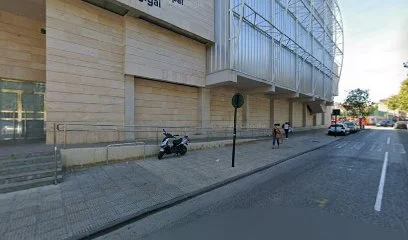 Federacion de Esgrima de la Region de Murcia