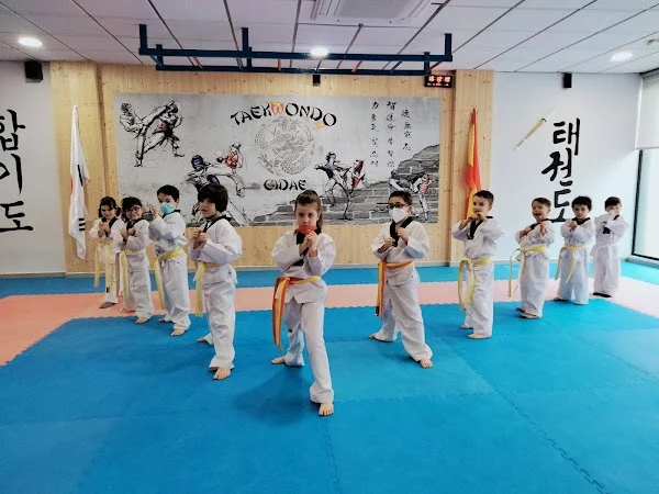 GIDAE TAEKWONDO ALCÁZAR DE SAN JUAN