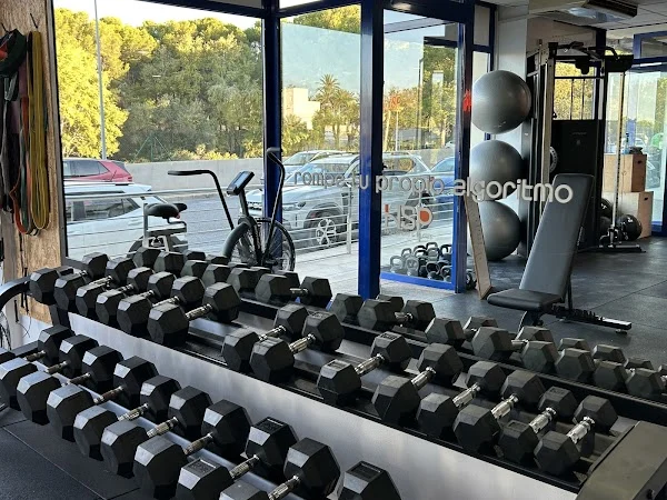 Gimnasio HSP Sport | Fuerza & Pilates