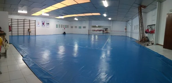 Gimnasio Moon ( Osca Taekwondo I )