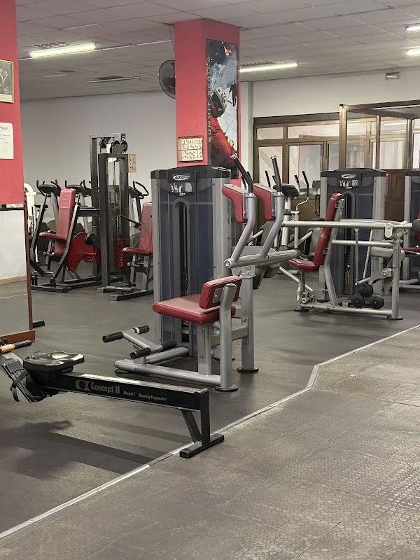 Gimnasio