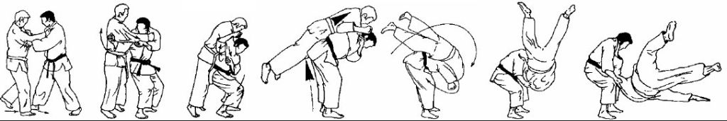 ippon-seoi-nage 