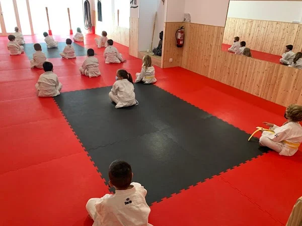 Kintsukuroi - Dojo Shotokan Karate-Do - Escuela de Kárate e Iniciación Jiu-Jitsu