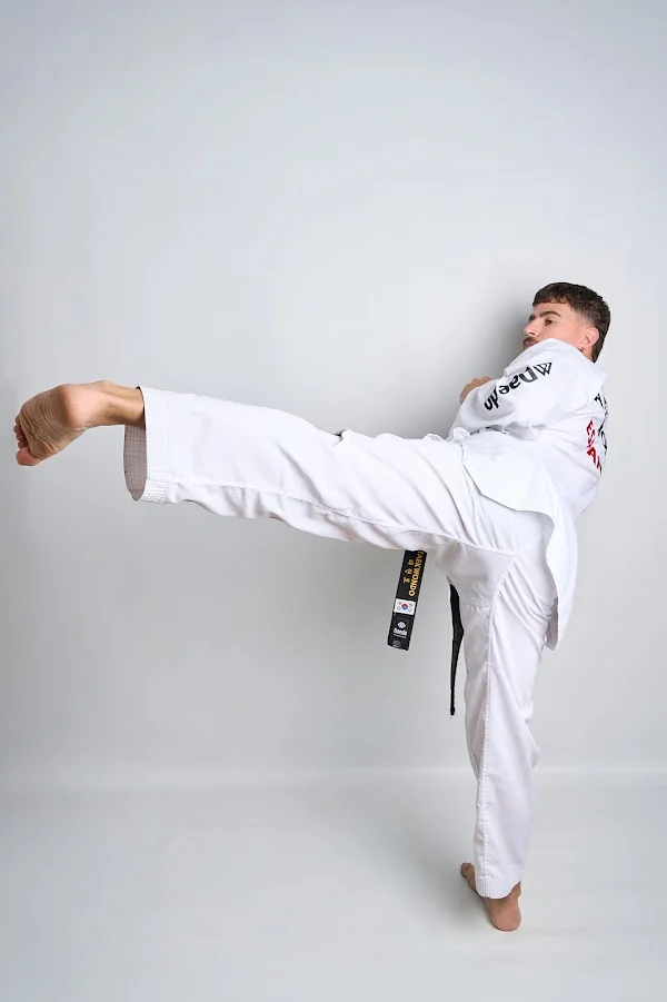 Kitaek dojo