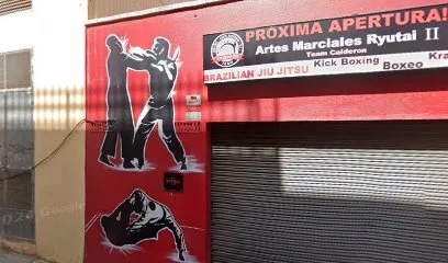 Krav Maga