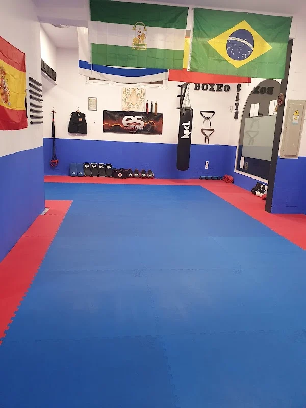 Krav Maga, Taekwondo. Dojo Hajime