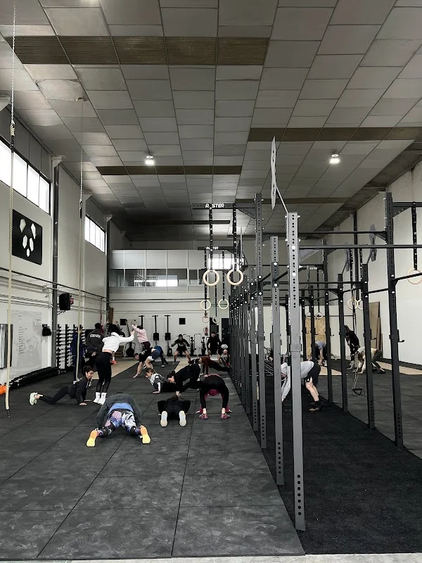 Panda Training Club