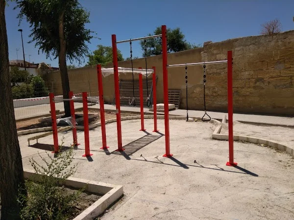 Parque Calisténico