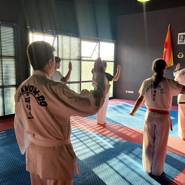 Taekwon-do ITF Valencia Valterna Plaza