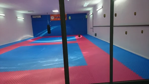 Taekwon-D'olot