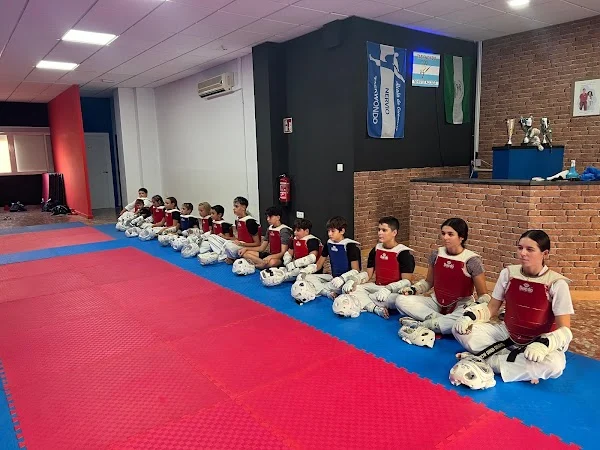 Taekwondo Nervio Alcalá