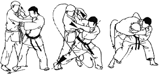 tai-otoshi pasos