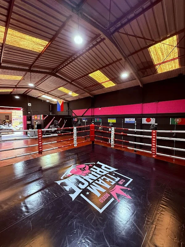 Team Prince - Club de Boxeo