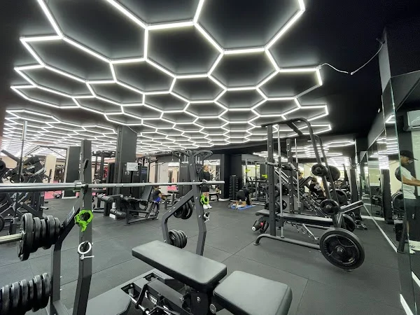 Z Gym Diaz